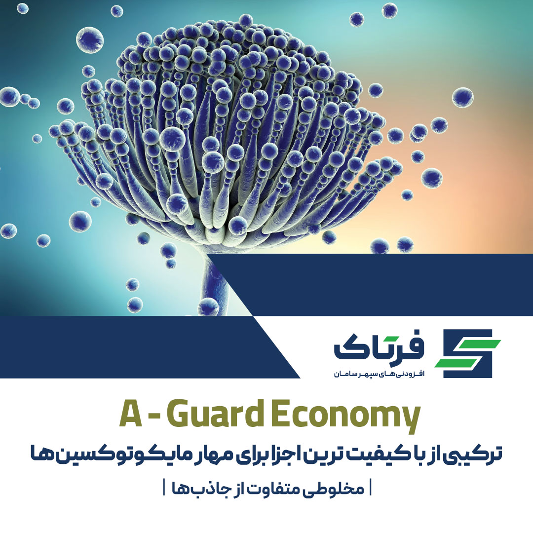 ای‌گارد اکونومی