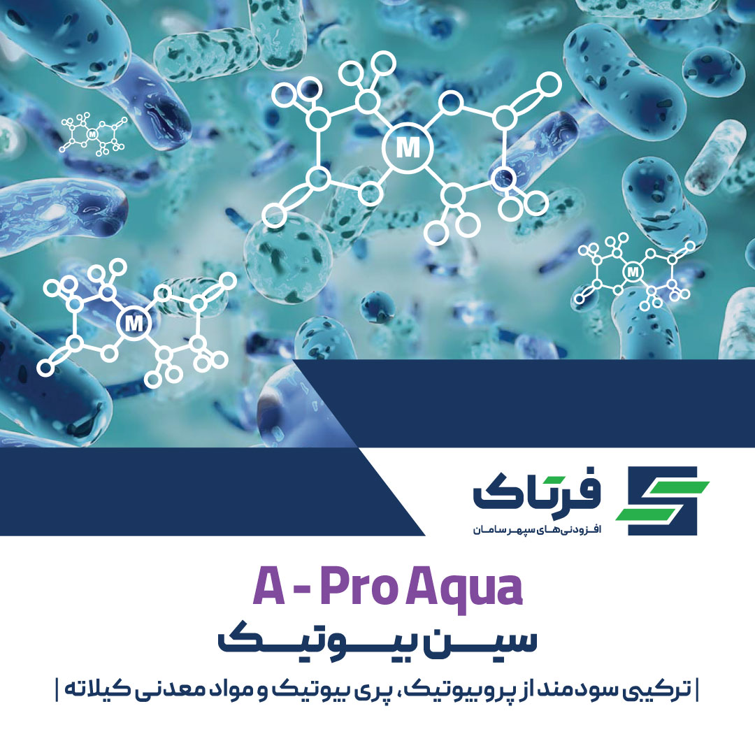 پلت بایندر اولترا