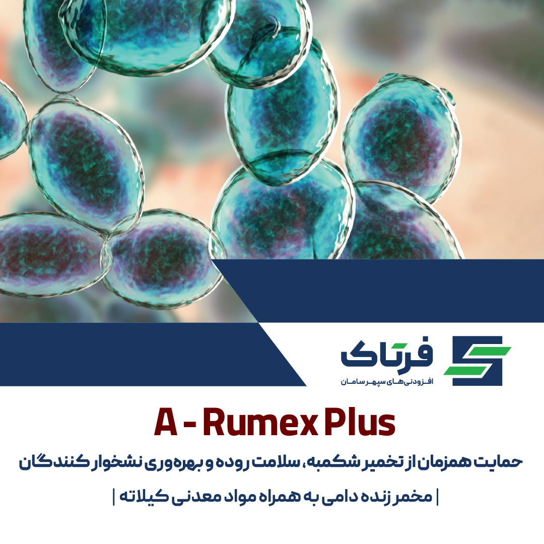 ای‌رومکس پلاس