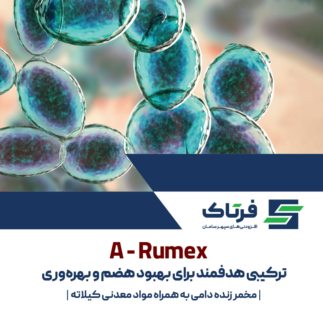 ای‌رومکس