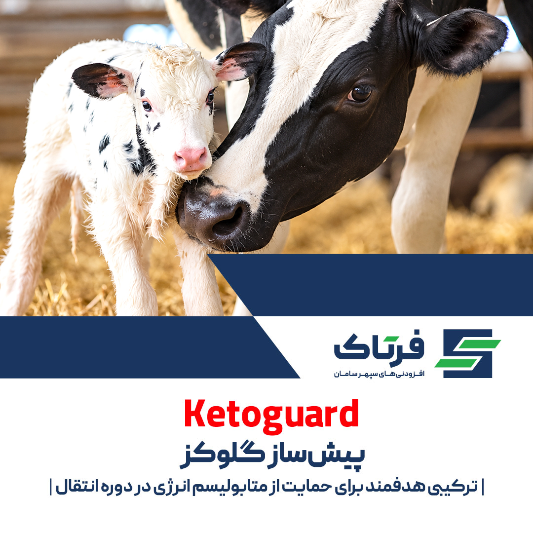 ای‌جامپر