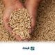 ما هو عامل جوده الحبیبات (PQF) فی الأعلاف؟