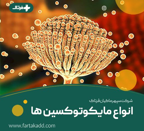 انواع مایکوتوکسین ها