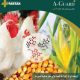 ای-گارد پلاس ای-گارد پلاس