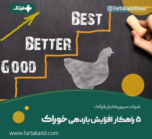 افزایش بازدهی خوراک دام و طیور