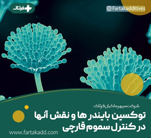 توکسین بایندرها