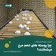 چرا پوسته تخم مرغ می شکنند-