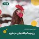 عوامل کم اشتهایی در طیور