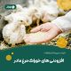 افزودنی های خوراک مرغ مادر
