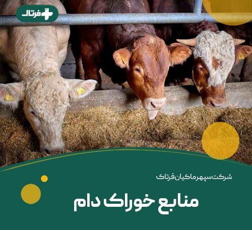 منابع خوراک دام