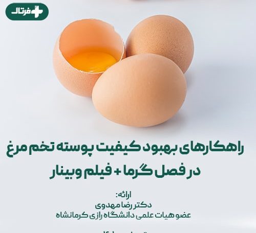 پوسته تخم مرغ