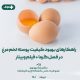 پوسته تخم مرغ پوسته تخم مرغ