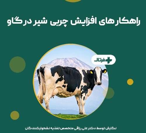 چربی شیر