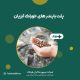 پلت بایندر خوراک آبزیان