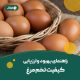 بهبود و ارزیابی کیفیت تخم مرغ-min