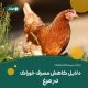 کاهش مصرف خوراک