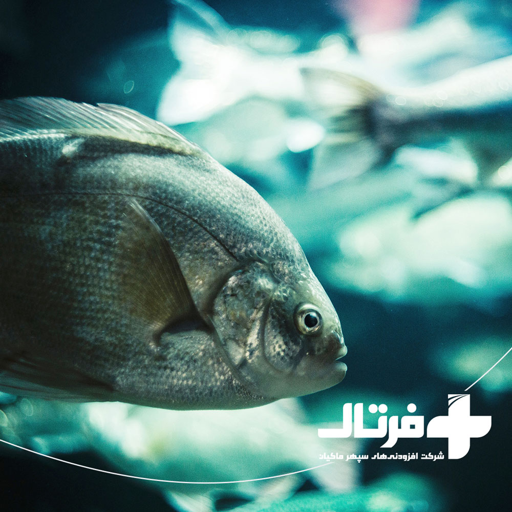 مایکوتوکسین در آبزیان