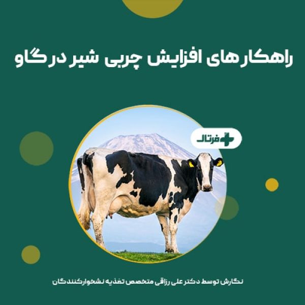 چربی شیر