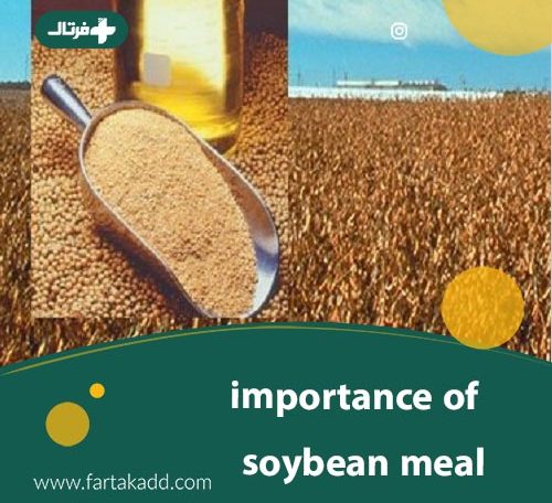 importance of soybean meal
