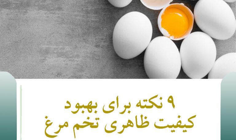 9 نکته برای بهبود کیفیت ظاهری تخم مرغ