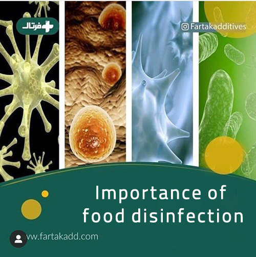 Importance of food disinfection