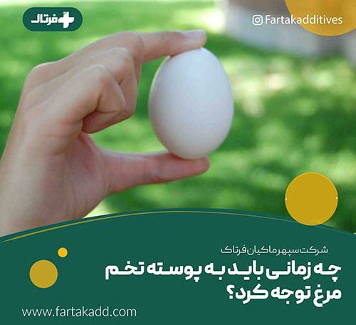 حفظ کیفیت پوسته تخم مرغ