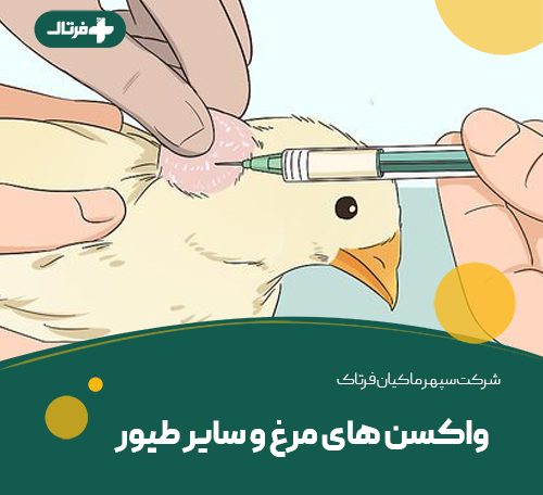 واکسین های مرغ و سایر طیور