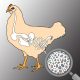 سلامت روده و نقش آن در افزایش بازدهی تولید تخم مرغ