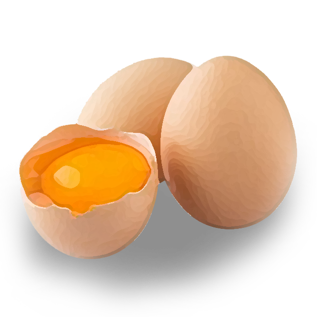 بهبود عملکرد تولید تخم مرغ