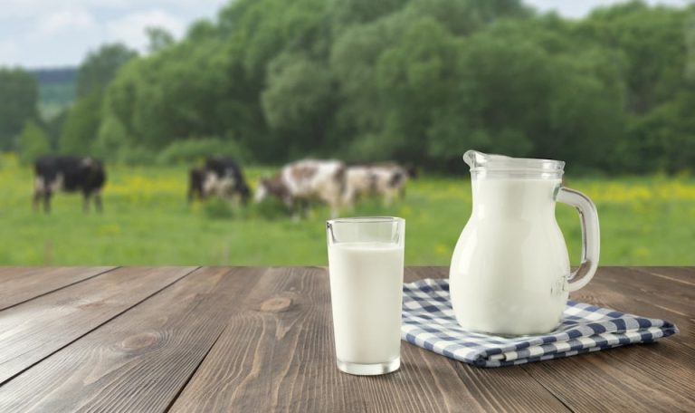 کاهش تولید شیر