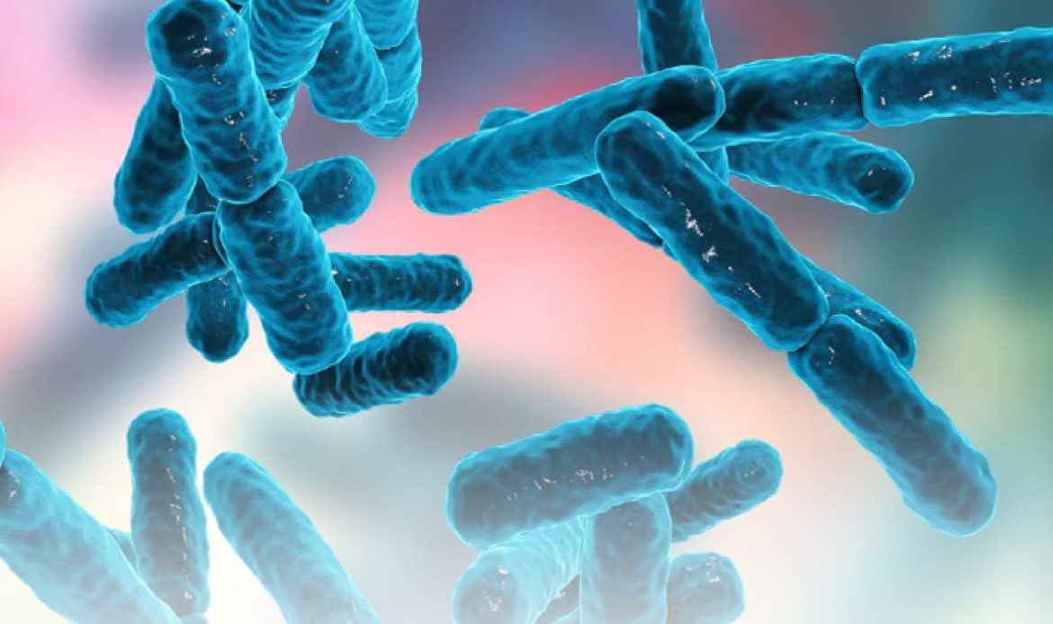 پری بیوتیک ها در آبزیان