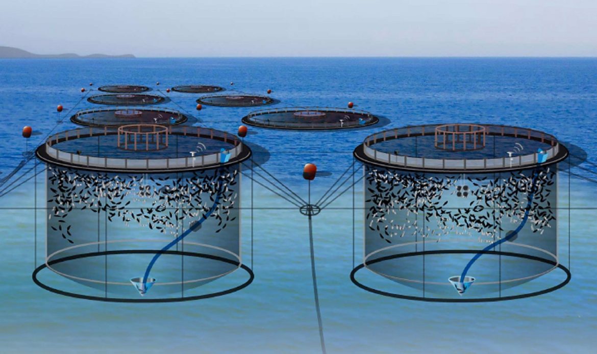 انواع سیستم های پرورش ماهی