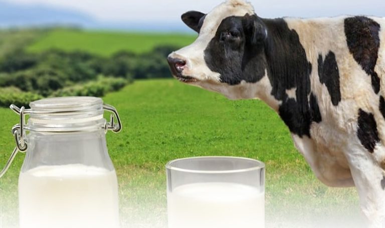 توضیح کامل بازگشت سرمایه