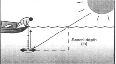 نحوه استفاده از ابزار سکشی (سشی) دیسک در استخرهای پرورش آبزیان