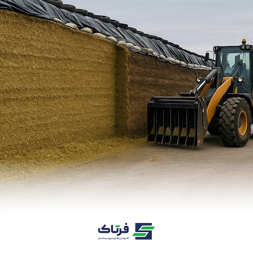 کنترل مایکوتوکسین ها در سیلاژ کنترل مایکوتوکسین ها در سیلاژ