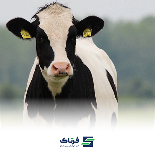 راهکارها و افزودنی های خوراک موثر در تولید متان در نشخوارکنندگان