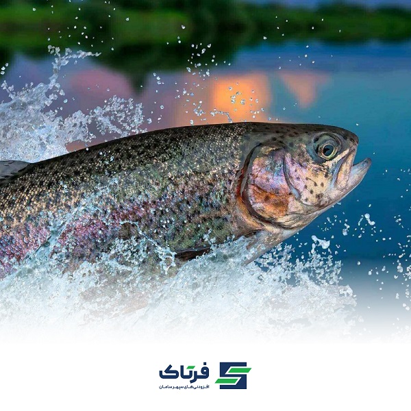 تحلیل اقتصادی و تجربی پرورش قزل‌آلای رنگین‌کمان در ایران