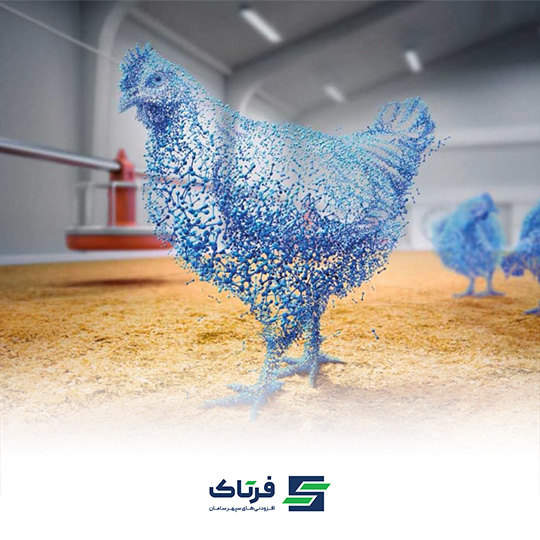 آنزیم فیتاز در تغذیه طیور