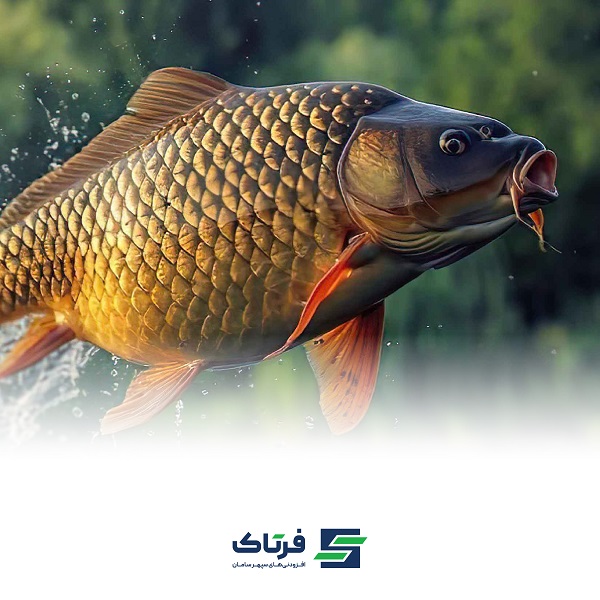 محرک های تغذیه ای در خوراک آبزیان