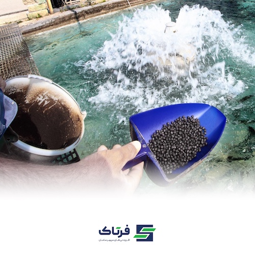 مدیریت تغذیه در ماهی قزل آلای رنگین کمان