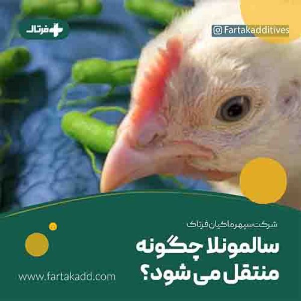 ساÙÙ
ÙÙÙØ§ ساÙÙ
ÙÙÙØ§