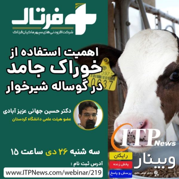 خوراک جامد (استارتر)