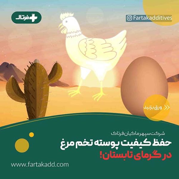 اثر تنش گرمایی بر ضخامت پوسته تخم مرغ