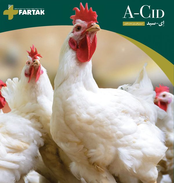 اسیدی فایر پودری