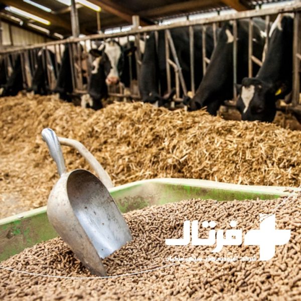 افزایش ماندگاری خوراک