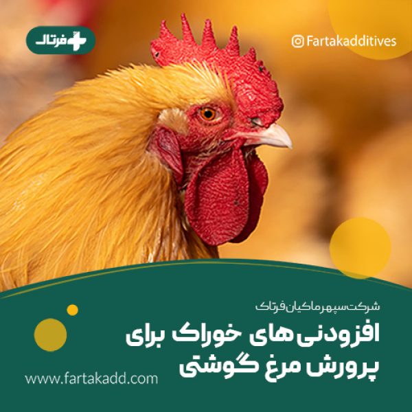 افزودنی های خوراک جوجه گوشتی افزودنی های خوراک جوجه گوشتی