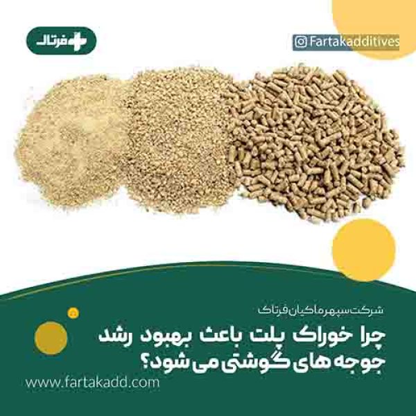 اهمیت استفاده از خوراک پلت