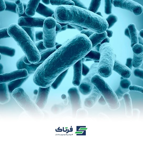 اهمیت استفاده از پروبیوتیک در خوراک آبزیان