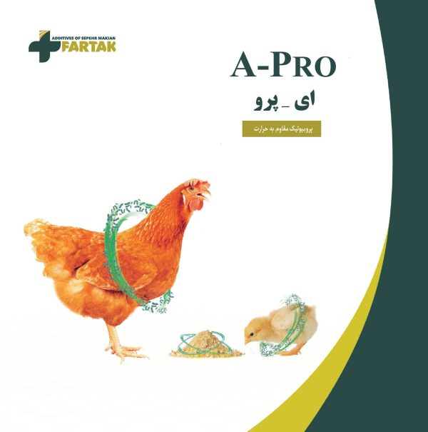 ای-پرو ای-پرو