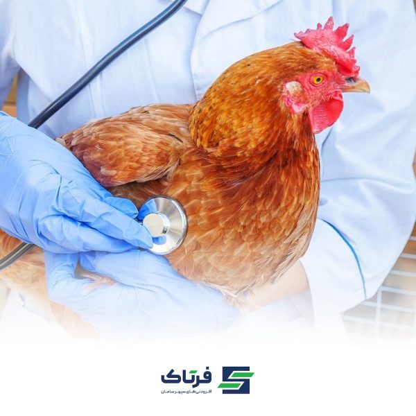 بیمای های باکتریایی طیور